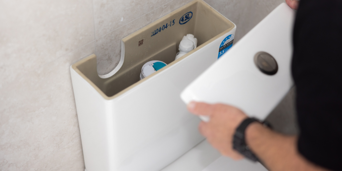 Gurgling Sounds from Toilets & Drains - Tree Root Intrusion Signs