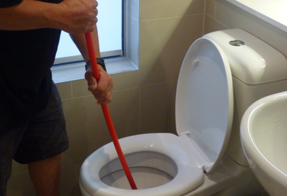 Toilet Repair